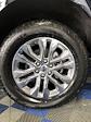 New 2025 Ford F-150 Lariat SuperCrew Cab 4WD Pickup for sale #A7393 - photo 19