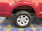2025 Ford F-150 SuperCrew Cab 4WD Pickup for sale #A7872 - photo 34