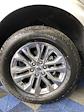2025 Ford F-150 SuperCrew Cab 4WD Pickup for sale #A7690 - photo 8