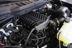 New 2025 Ford F-150 XL Regular Cab for sale #253083 - photo 31