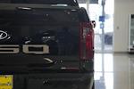 New 2025 Ford F-150 XL Regular Cab for sale #253083 - photo 9