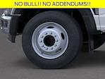 2026 Ford F-600 Regular Cab DRW RWD Cab Chassis for sale #260876 - photo 20