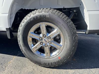New 2024 Ford F-150 XLT SuperCrew Cab 4x4 Pickup for sale #24713S - photo 2