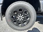2025 Ford F-250 Crew Cab 4x4 Pickup for sale #25246 - photo 25