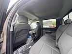 2025 Ford F-150 SuperCrew Cab 4x4 Pickup for sale #25263 - photo 7