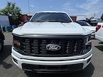 2025 Ford F-150 SuperCrew Cab 4WD Pickup for sale #25356 - photo 3