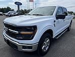 2024 Ford F-150 SuperCrew Cab 4x4 Pickup for sale #36395 - photo 4