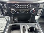 2024 Ford F-150 SuperCrew Cab 4WD Pickup for sale #36454 - photo 22