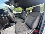 2024 Chevrolet Silverado 1500 Regular Cab RWD Pickup for sale #36488 - photo 19