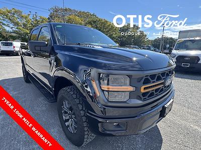 2024 Ford F-150 SuperCrew Cab 4WD Pickup for sale #36529 - photo 1