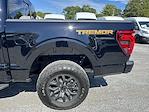2024 Ford F-150 SuperCrew Cab 4WD Pickup for sale #36529 - photo 7