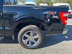2023 Ford F-150 SuperCrew Cab 4WD Pickup for sale #36573 - photo 8