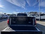2024 Ford F-150 SuperCrew Cab 4WD Pickup for sale #36676 - photo 9