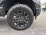 2024 Ford F-150 SuperCrew Cab 4WD Pickup for sale #36773 - photo 12