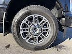 Used 2025 Ford F-350 Platinum Crew Cab for sale #36842T - photo 9