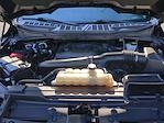2021 Ford F-150 SuperCrew Cab 4WD Pickup for sale #00059825 - photo 36