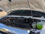 New 2025 Ford E-350 Rockport Service Utility Van for sale #0045524F - photo 23