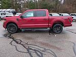 New 2025 Ford F-150 STX SuperCrew Cab 4WD Pickup for sale #0046133F - photo 6
