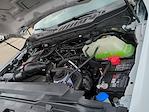 New 2025 Ford F-350 XL Regular Cab 4WD SRW Pickup for sale #0046286F - photo 28