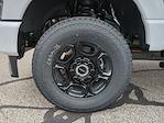 New 2025 Ford F-350 XL Regular Cab 4WD SRW Pickup for sale #0046286F - photo 29