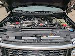 New 2025 Ford F-450 Platinum Crew Cab 4WD DRW Pickup for sale #0046357F - photo 33