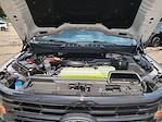 New 2025 Ford F-150 XLT SuperCrew Cab 4WD Pickup for sale #0046521F - photo 31