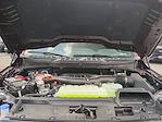New 2025 Ford F-150 XLT SuperCrew Cab 4WD Pickup for sale #0046534F - photo 29