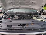 New 2025 Ford F-350 XLT Crew Cab 4WD SRW Pickup for sale #0046674F - photo 30