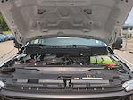 New 2025 Ford F-350 XL Regular Cab 4WD SRW Pickup for sale #0046675F - photo 27