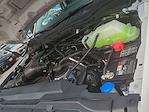 New 2025 Ford F-350 XL Regular Cab 4WD SRW Pickup for sale #0046675F - photo 28