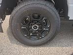 New 2025 Ford F-350 XL Regular Cab 4WD SRW Pickup for sale #0046675F - photo 29