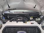 New 2024 Ford Transit 150 Low Roof Empty Cargo Van for sale #0046691F - photo 29