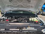 New 2025 Ford F-350 XL Regular Cab 4WD SRW Pickup for sale #0046714F - photo 27
