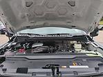 New 2025 Ford F-350 XLT Regular Cab 4WD DRW Pickup for sale #0046728F - photo 27