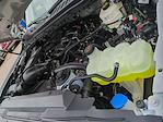 New 2025 Ford F-350 XLT Regular Cab 4WD DRW Pickup for sale #0046728F - photo 28