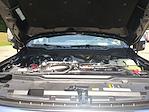 New 2025 Ford F-350 Platinum Crew Cab 4WD SRW Pickup for sale #0046731F - photo 33