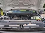 New 2025 Ford F-250 XL Regular Cab 4WD Pickup for sale #0046746F - photo 27
