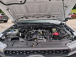 New 2025 Ford Ranger XL SuperCrew Cab 4WD Pickup for sale #0046765F - photo 29
