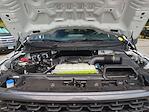 New 2025 Ford F-150 STX SuperCrew Cab 4WD Pickup for sale #0046852F - photo 29