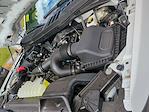 New 2025 Ford F-150 STX SuperCrew Cab 4WD Pickup for sale #0046852F - photo 30