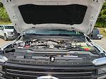 New 2026 Ford F-250 Platinum Crew Cab 4WD Pickup for sale #0046880F - photo 33