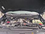 New 2026 Ford F-450 Platinum Crew Cab 4WD DRW Pickup for sale #0046967F - photo 33