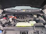 New 2025 Ford F-150 XLT SuperCrew Cab 4WD Pickup for sale #0046983F - photo 30