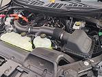 New 2025 Ford F-150 XLT SuperCrew Cab 4WD Pickup for sale #0046983F - photo 31