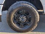 2024 Ford F-250 Crew Cab 4WD Pickup for sale #0046986A - photo 37