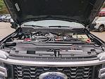 New 2026 Ford F-450 Platinum Crew Cab for sale #0046993F - photo 33
