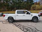 New 2025 Ford F-150 STX SuperCrew Cab 4WD Pickup for sale #0047007F - photo 3