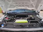 New 2025 Ford F-150 STX SuperCrew Cab 4WD Pickup for sale #0047007F - photo 29