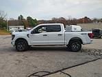 New 2025 Ford F-150 STX SuperCrew Cab 4WD Pickup for sale #0047007F - photo 6