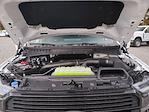 New 2025 Ford F-150 Platinum SuperCrew Cab 4WD Pickup for sale #0047010F - photo 33